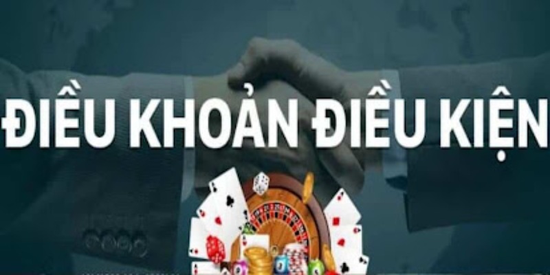 Vai trò của điều khoản & điều kiện 33BET